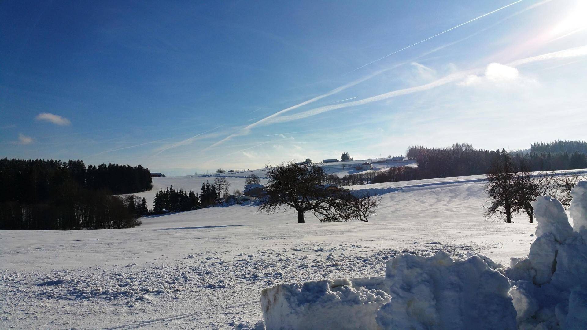 Winterliche Landschaft mit verschneiten Feldern und Bäumen unter strahlend blauem Himmel.
