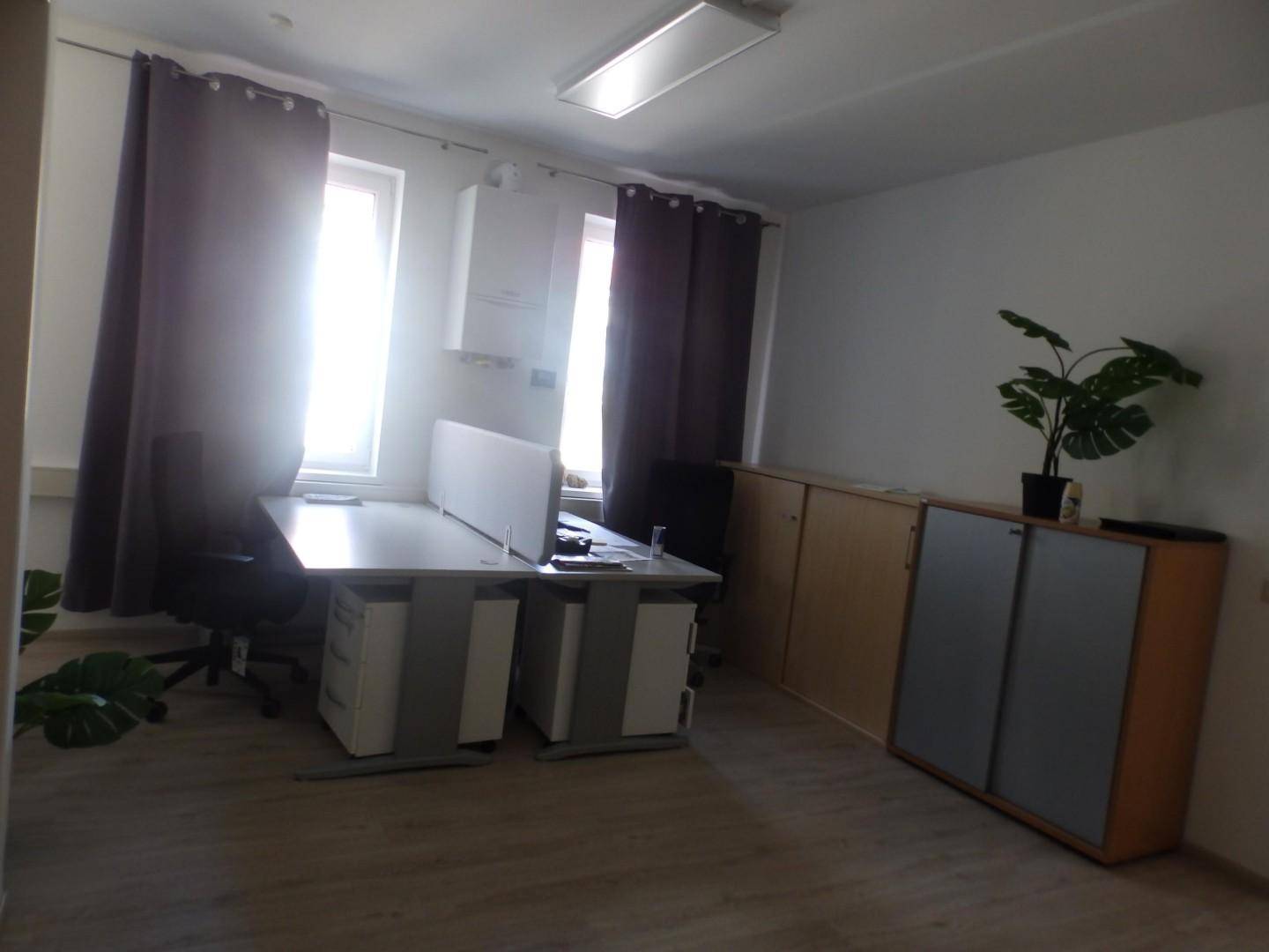 Büro mit Schreibtisch, Stauraum in Schränken und einer Zimmerpflanze für eine angenehme Atmosphäre.