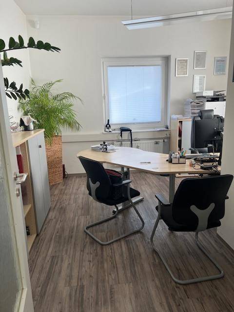 Büro mit Pflanzen, Schreibtisch und zwei Stühlen, beleuchtet durch ein großes Fenster.