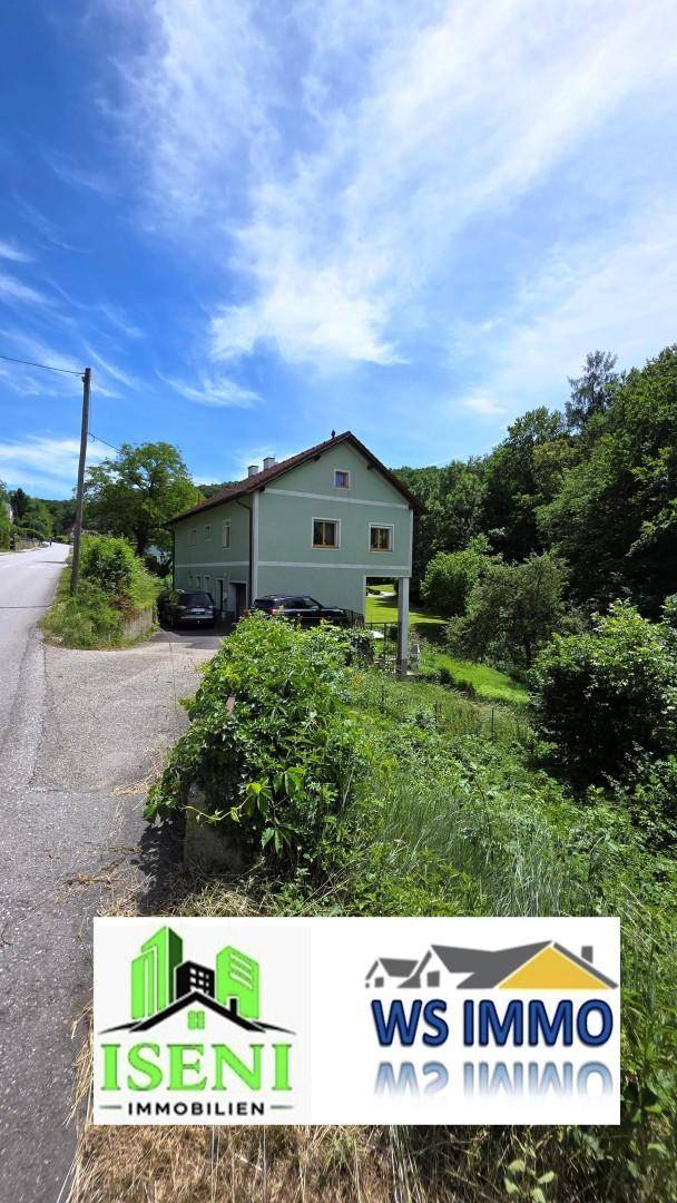 Grünes Haus an einer Landstraße, umgeben von üppiger Vegetation und Bäumen unter blauem Himmel.