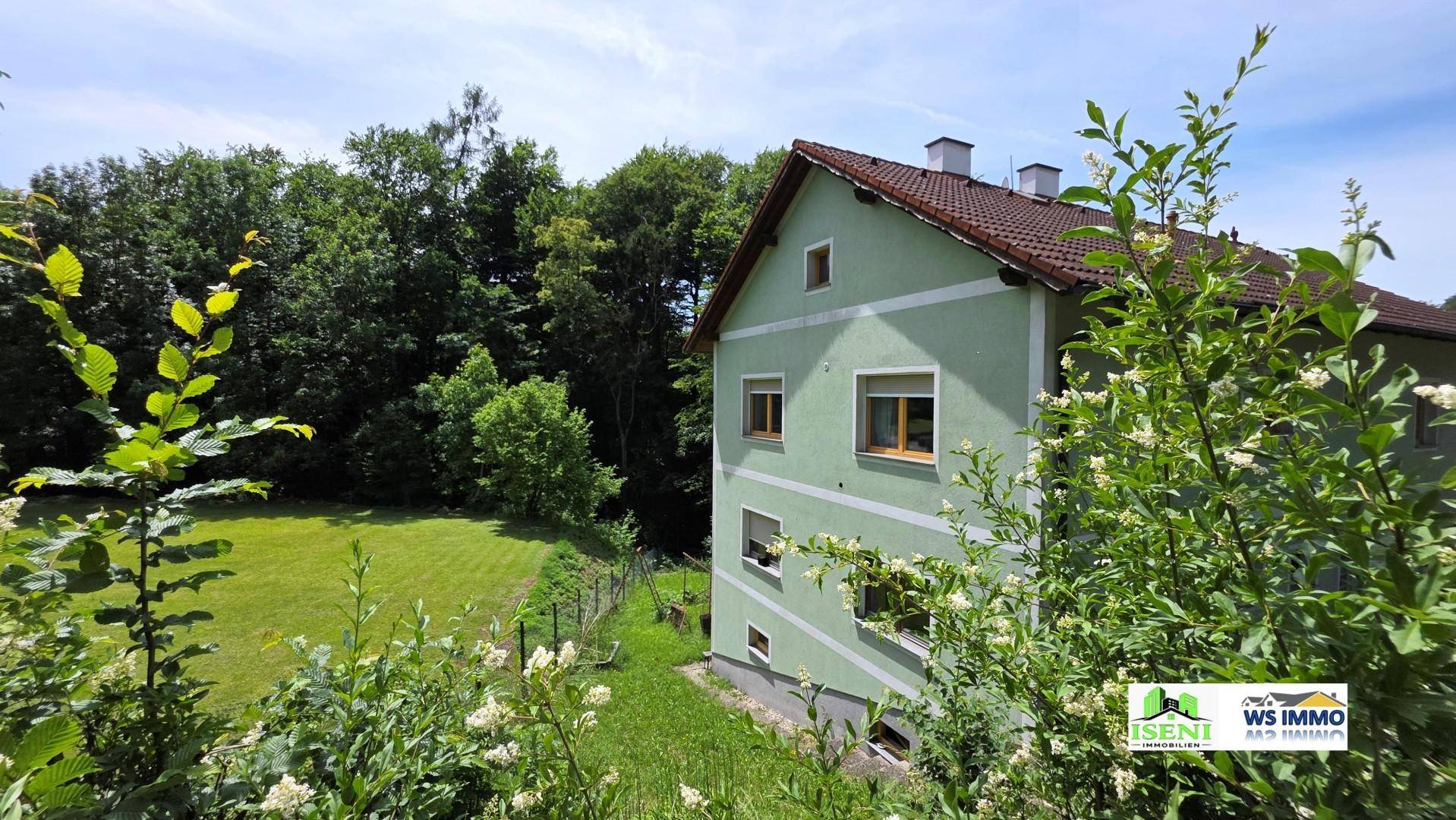 Rückansicht des grünen Hauses mit Garten und angrenzendem Waldgebiet unter blauem Himmel.