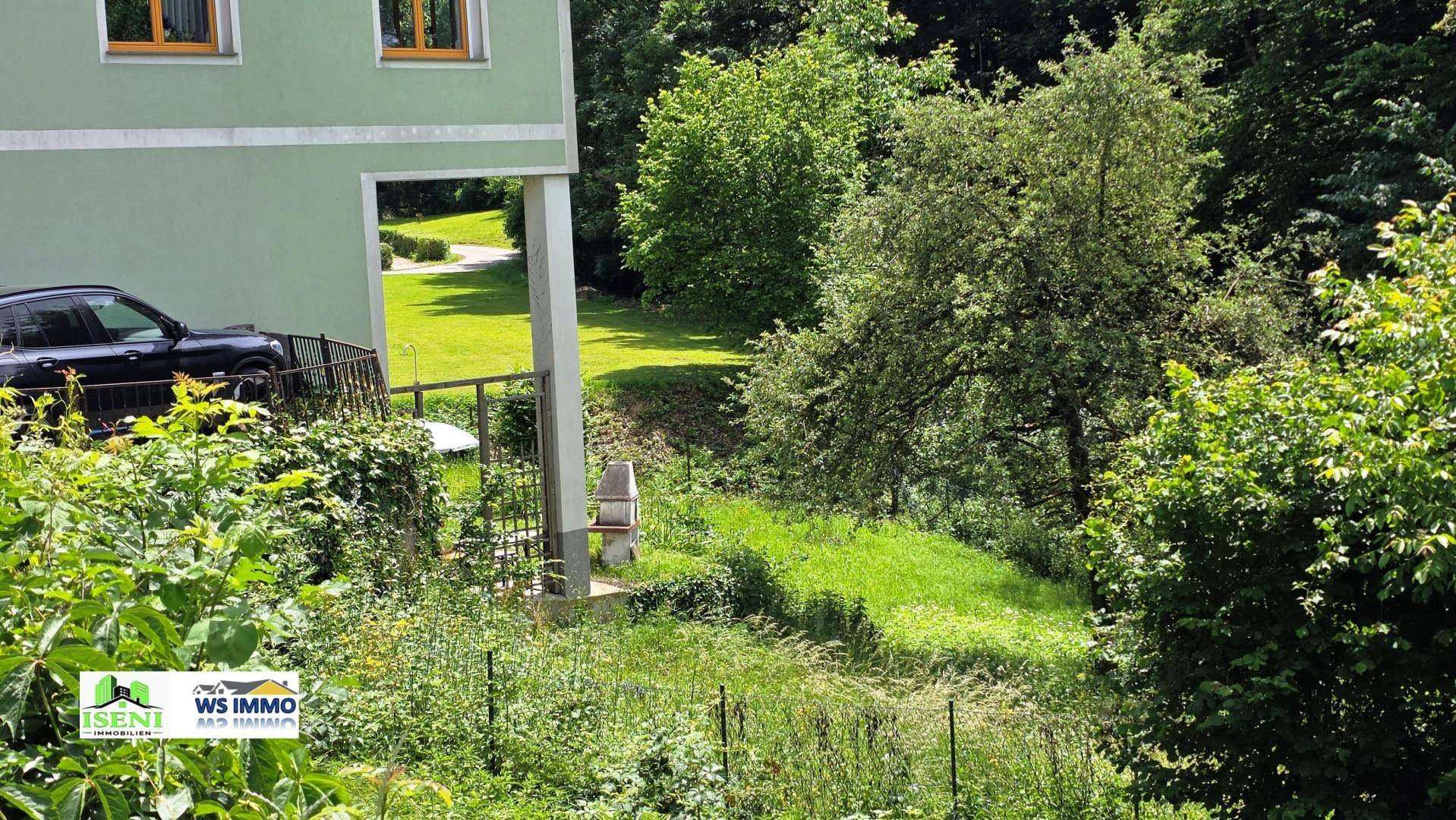Detailansicht des grünen Hauses mit Blick auf den Garten und einen Grillplatz im Freien.