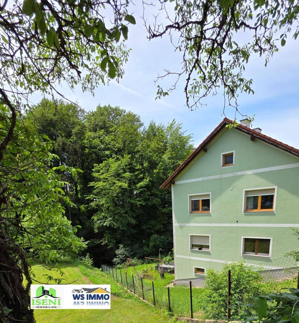 Grünes Haus, umgeben von dichtem Wald und üppiger Natur, mit Blick auf den Garten.