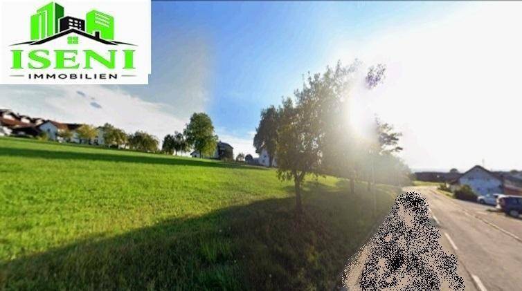 Sonnige Aufnahme einer weiten Grünfläche neben einer Straße mit Häusern im Hintergrund.