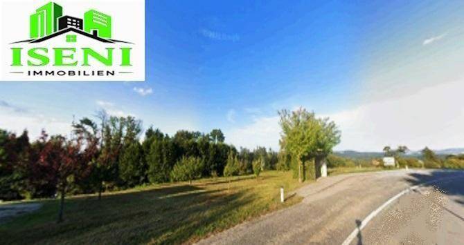 Landschaftliche Aufnahme einer Straße mit Bäumen und Grünflächen unter blauem Himmel.