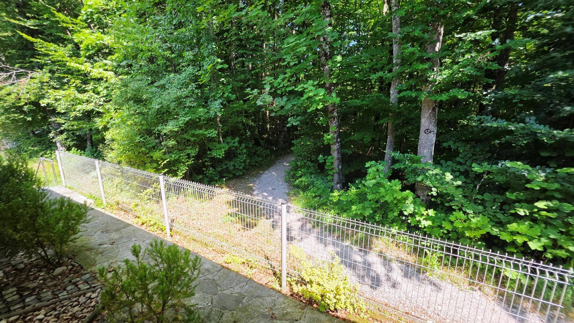 Schmaler Pfad entlang eines Zauns, der direkt an einen dichten Wald grenzt.