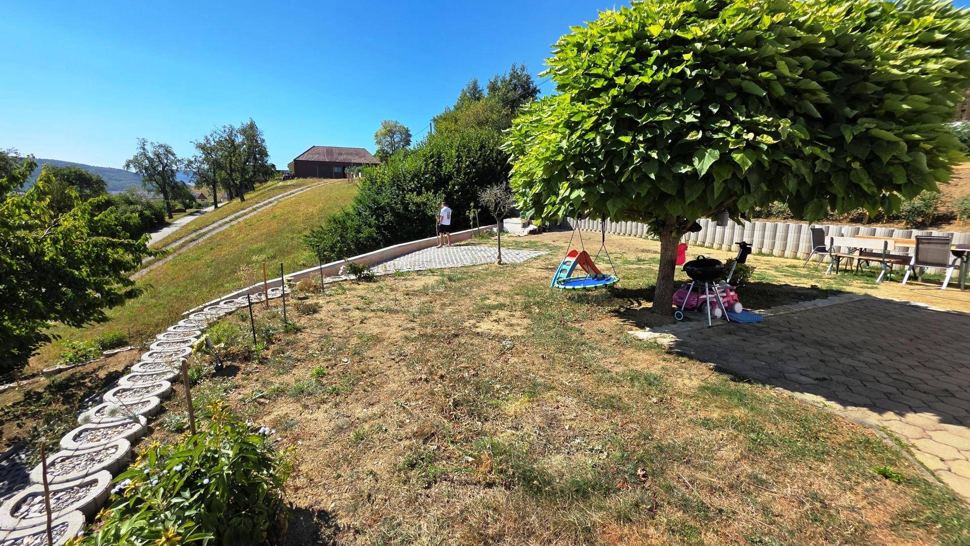 Gartenbereich mit Baum, Schaukel, Grill und gepflastertem Weg zu einer kleinen Terrasse.