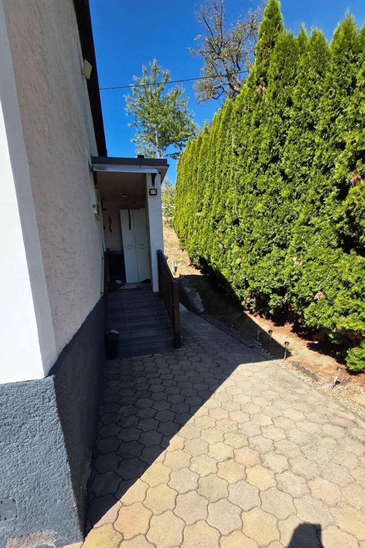 Seitlicher Eingangsbereich des Hauses mit kurzer Treppe, gepflastertem Weg und hoher Hecke.