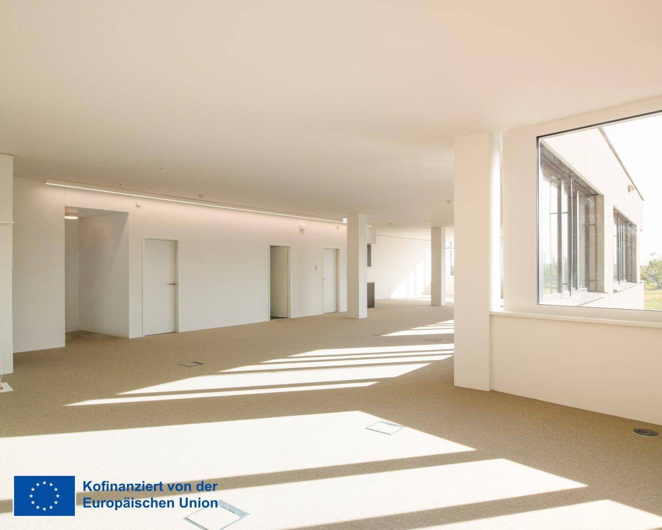 Heller, offener Büroraum mit Teppichboden und viel natürlichem Licht durch große Fenster.