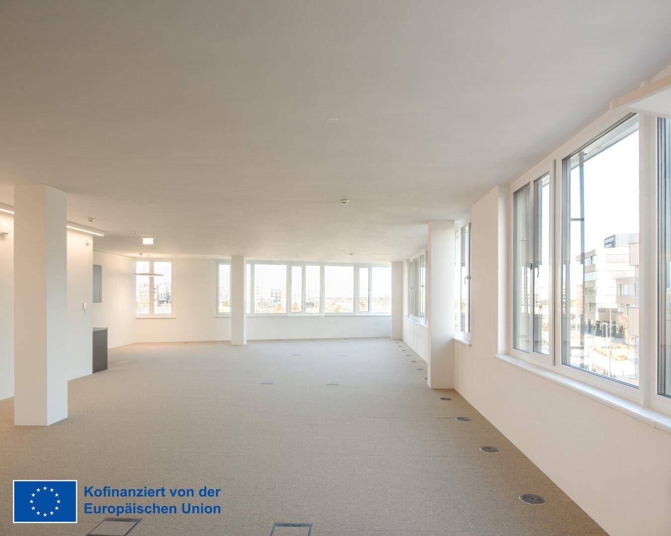 Weitläufiger, leerer Büroraum mit durchgehender Fensterfront und Teppichboden, ideal für flexible Gestaltung.