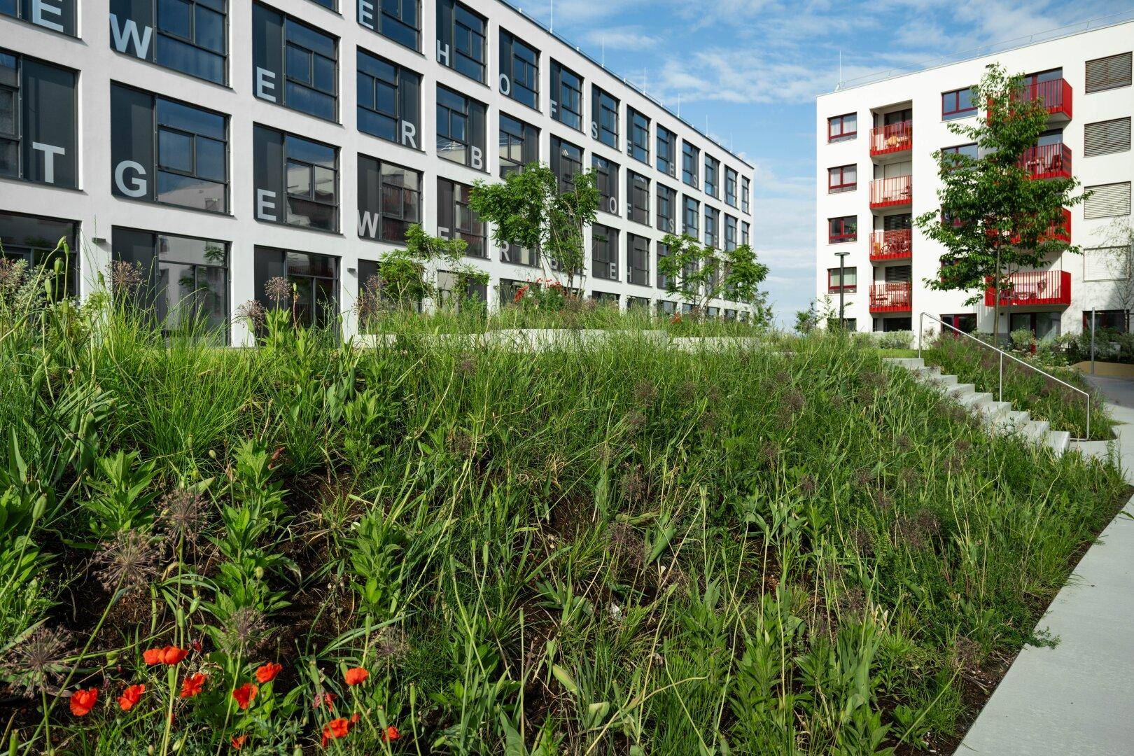 Grüne Außenanlage mit üppiger Vegetation und Treppen zwischen modernen Gebäuden unter blauem Himmel.