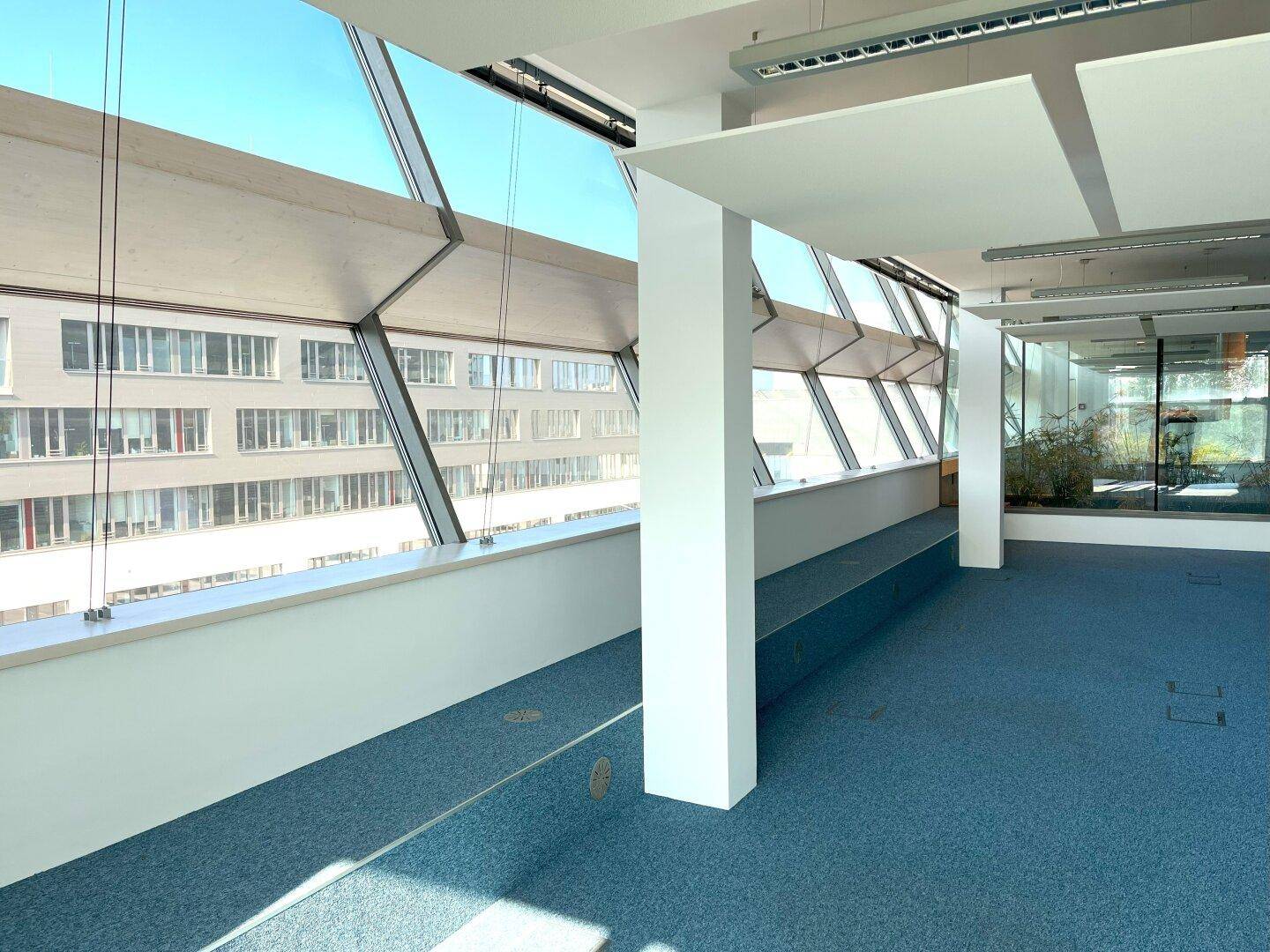 Großzügliches Büro mit blauer Teppichboden, großen Fenstern und viel Tageslicht.