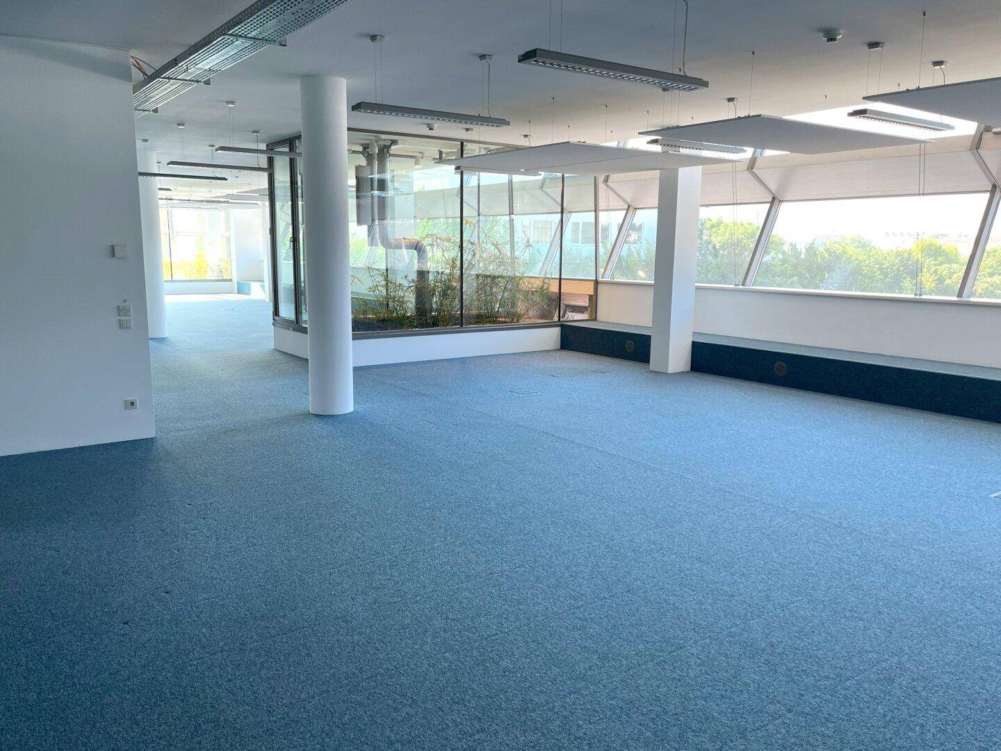 Weitläufiger Büroraum mit blauem Teppichboden, Säulen und großen Fenstern.