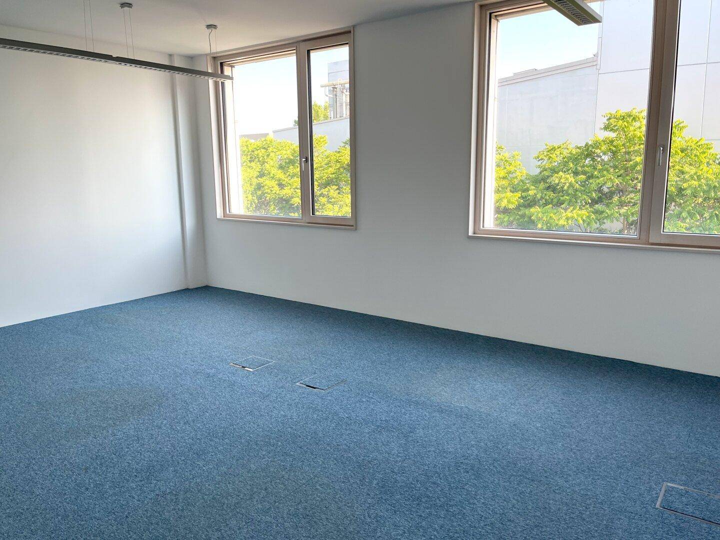 Helles Büro mit zwei großen Fenstern, blauem Teppichboden und weißen Wänden.