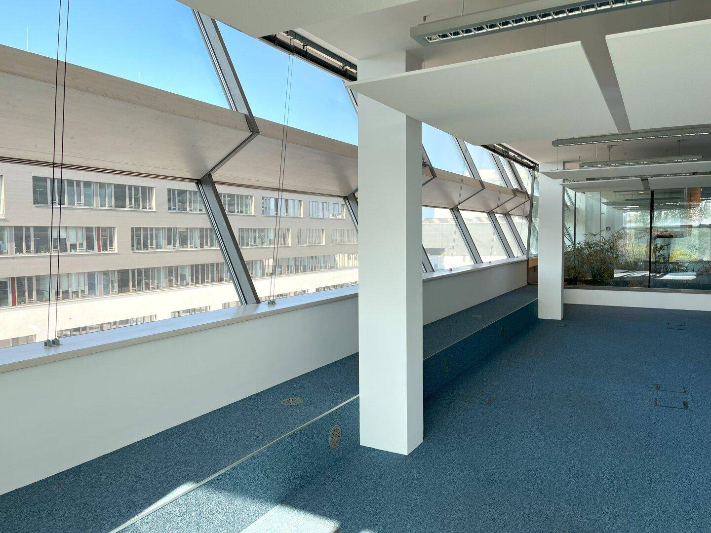 Großzügliches Büro mit blauer Teppichboden, großen Fenstern und viel Tageslicht.