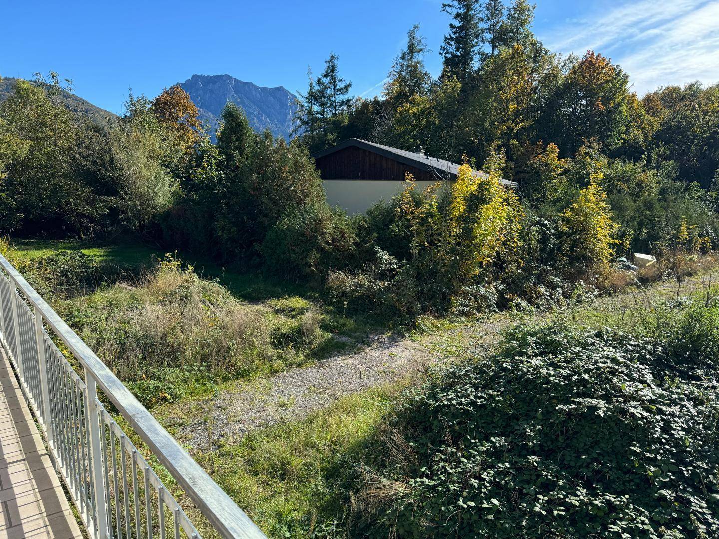 Blick zum Waldweg