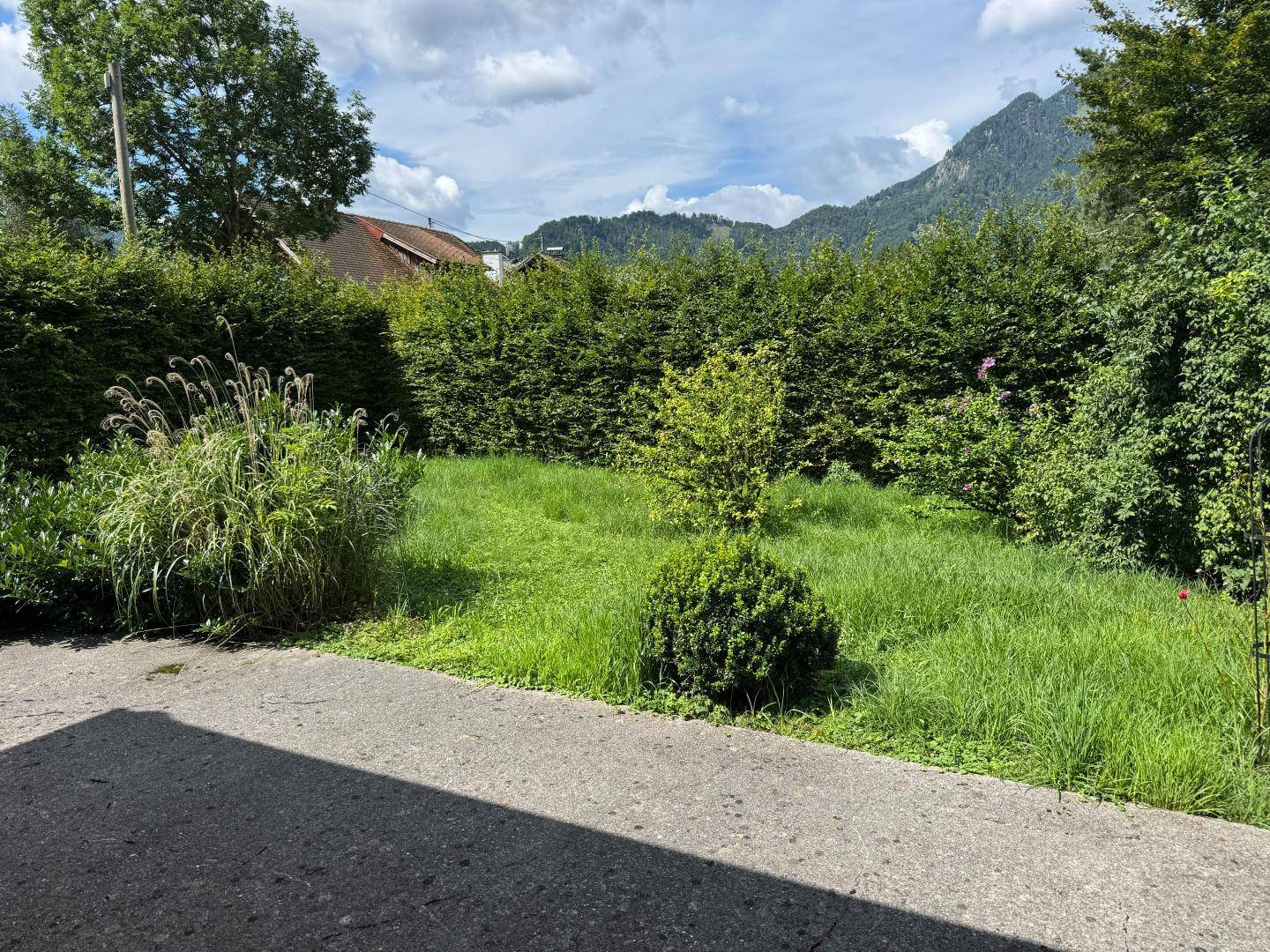 Ausblick Terrasse
