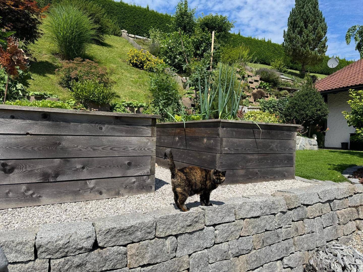 auch der Kater fühlt sich SEHR WOHL