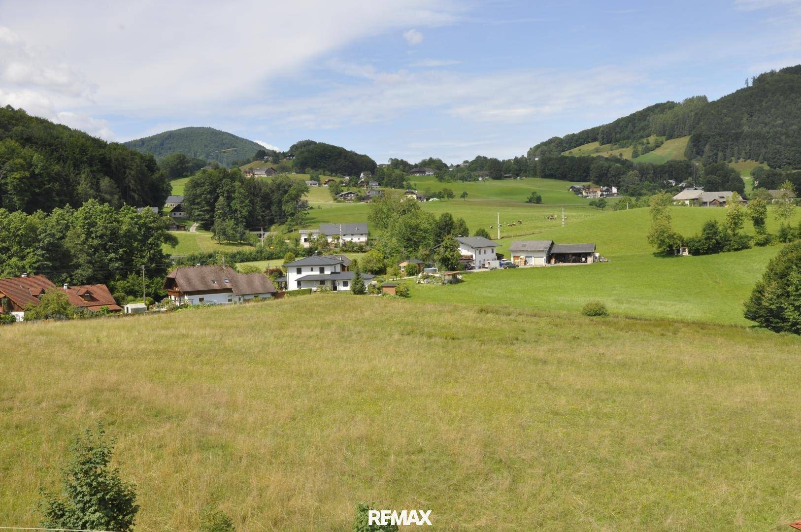 Weitläufige grüne Hügellandschaft mit verstreuten Häusern unter einem sonnigen Himmel.