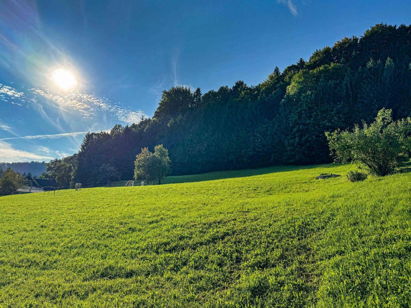 schöne Ausblicke