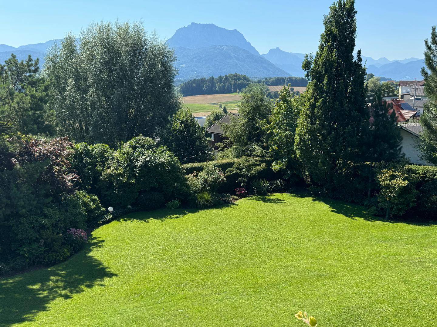 OG - Ausblick