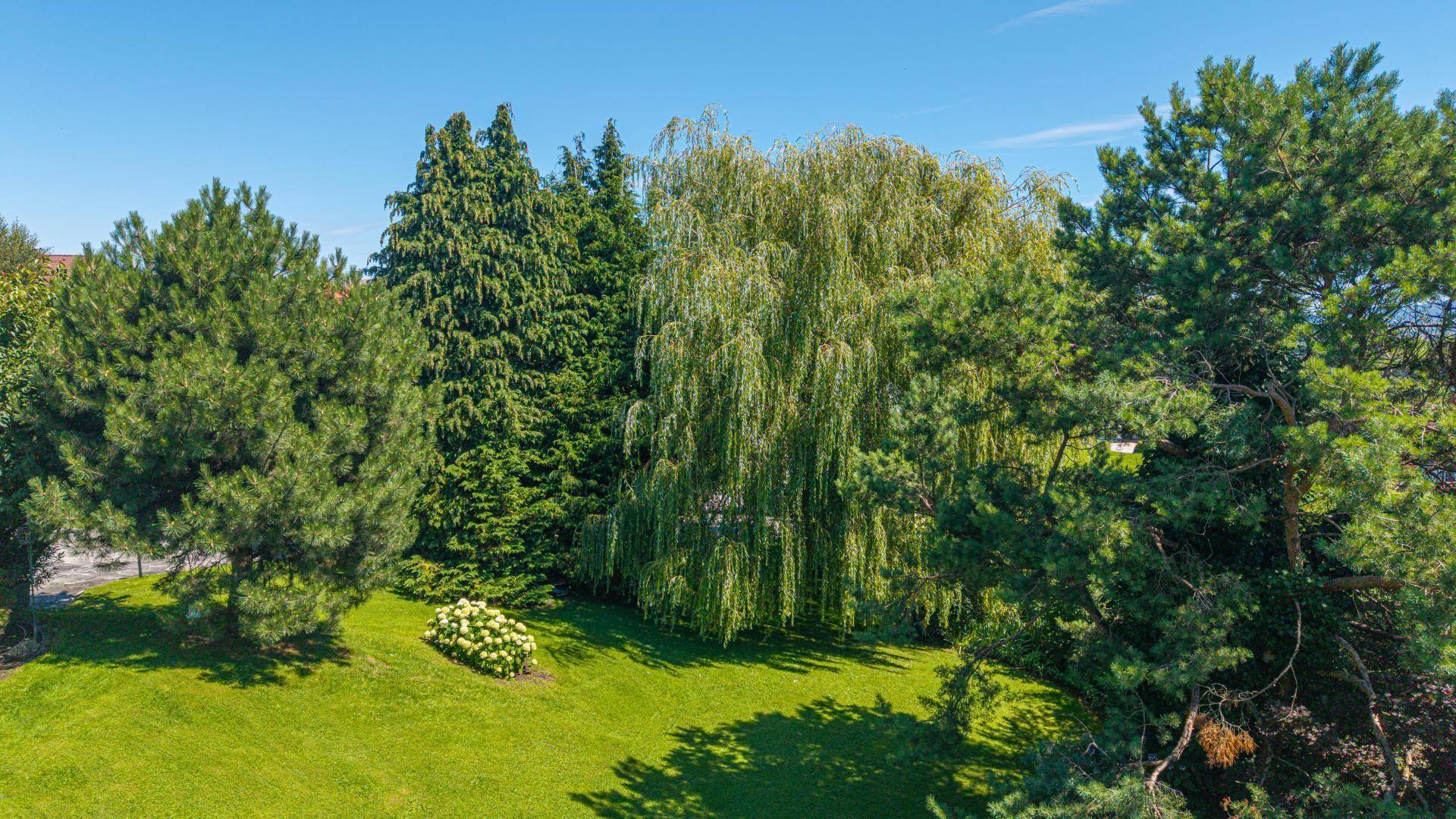 Garten wie ein Park