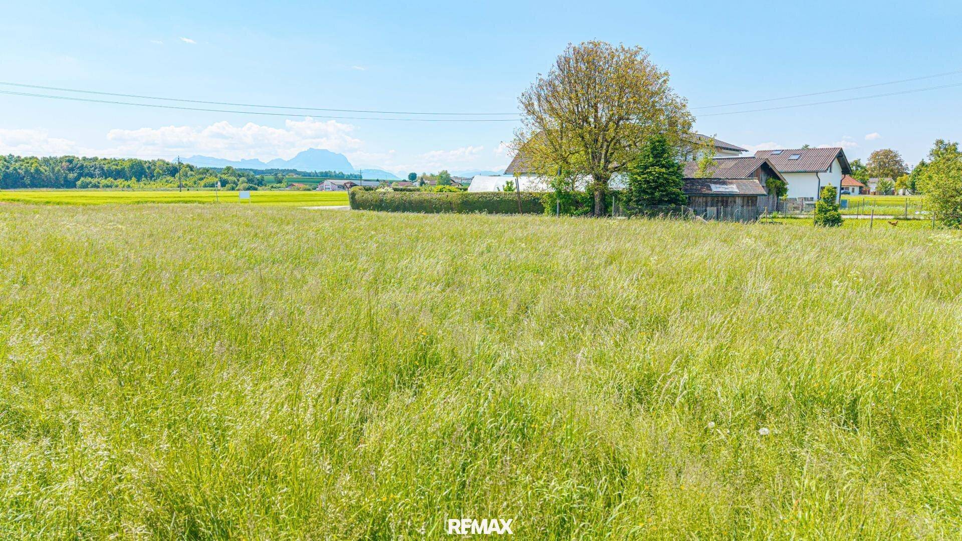 Weitläufiges grünes Feld mit Blick auf ein entferntes Haus und die Berge unter blauem Himmel.
