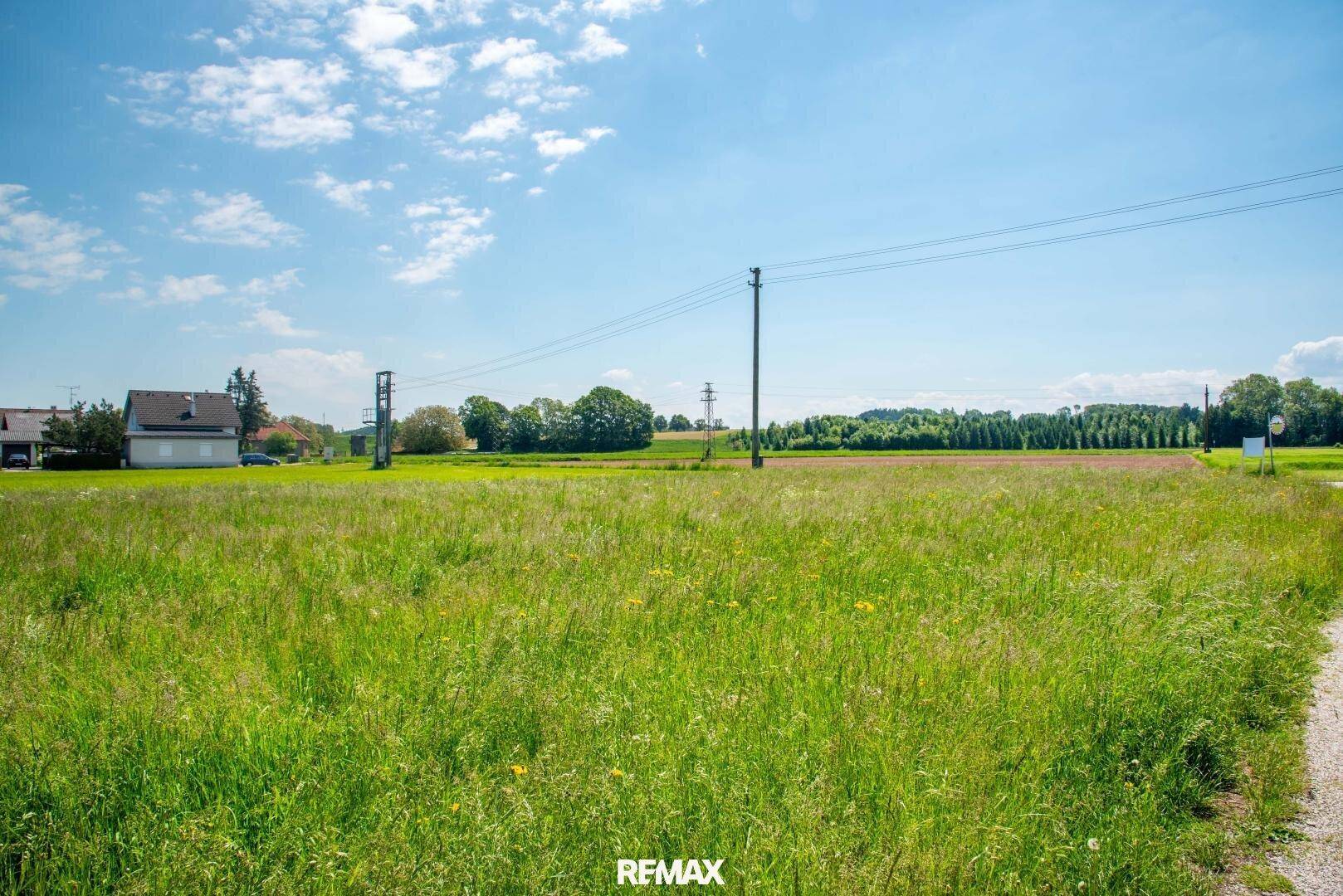 Offenes grünes Feld mit Stromleitungen und ländlicher Bebauung unter einem klaren blauen Himmel.