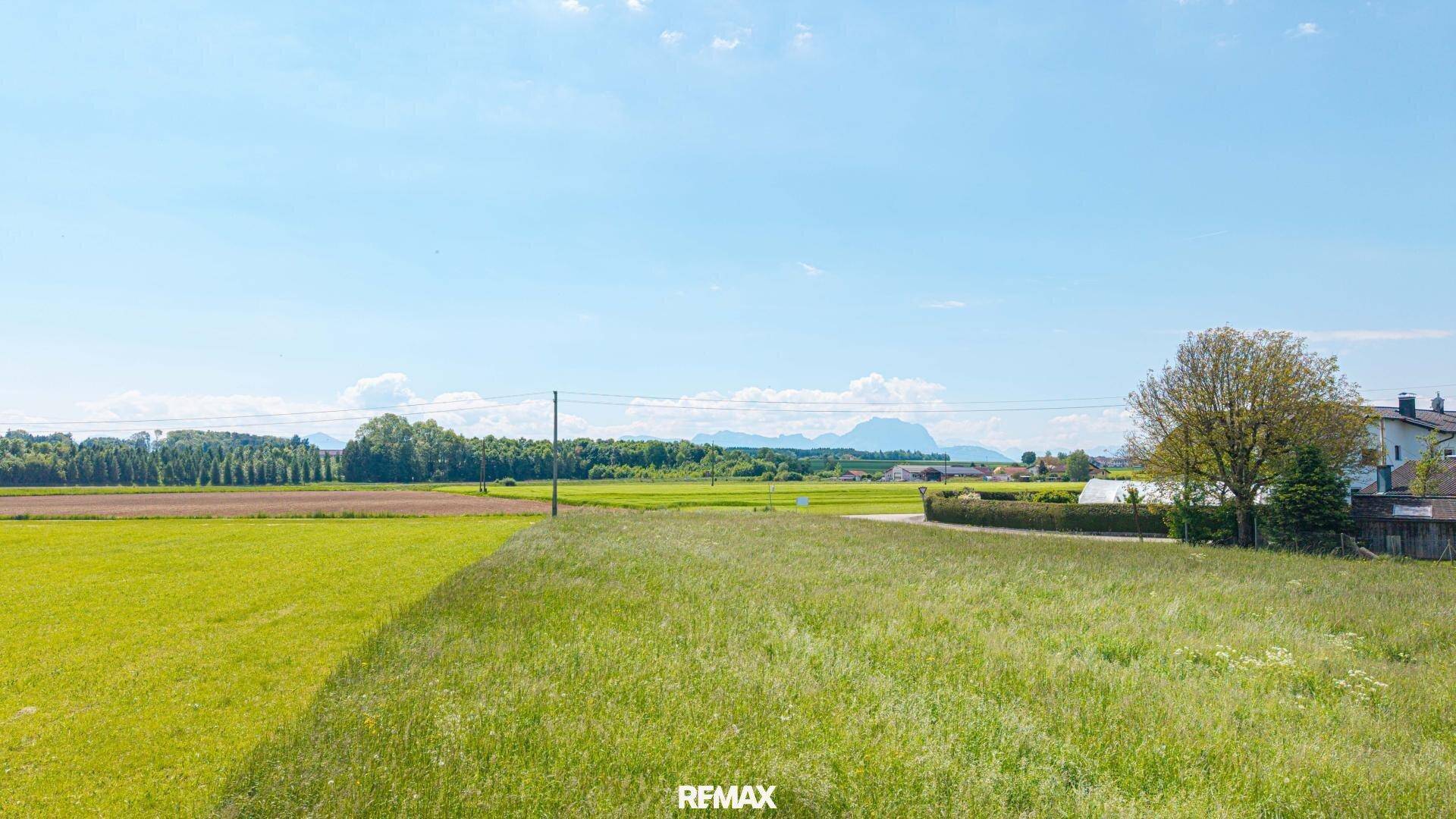 Weitblick über grüne Felder mit vereinzelten Häusern und einer beeindruckenden Bergkulisse im Hintergrund.