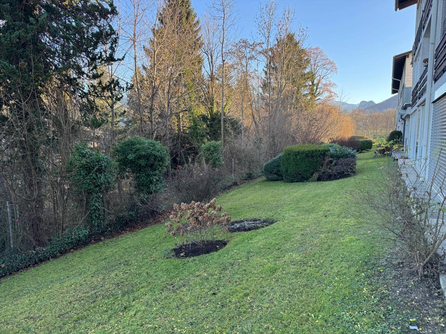 Gepflegter, leicht abfallender Gartenbereich mit Rasenflächen und verschiedenen Sträuchern neben dem Gebäude.