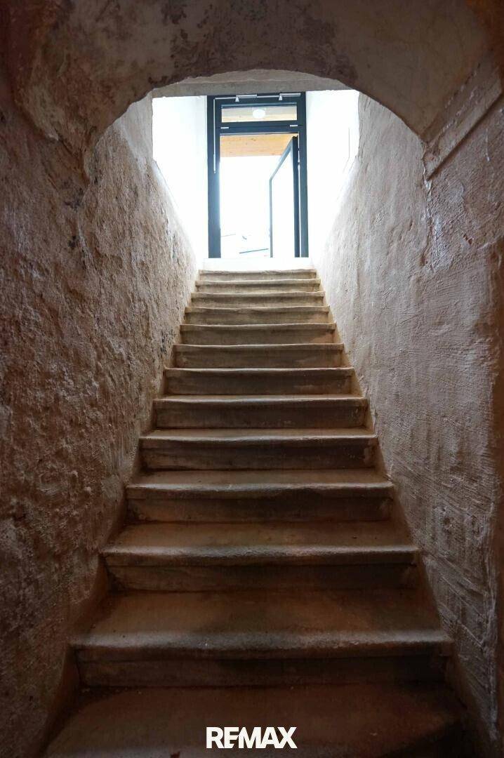 Steinerne Treppe führt aus einem historischen Kellerbereich nach oben zu einem hellen Ausgang.
