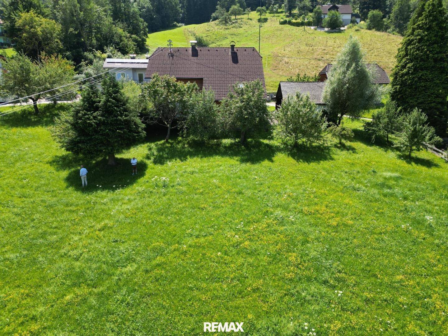 Idyllisches grünes Grundstück mit Personen, umgeben von Bäumen und Bergen im Hintergrund.
