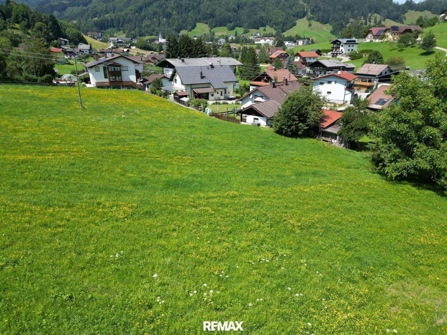 Baugrund gesamt oder geteilt! - Ansicht 2