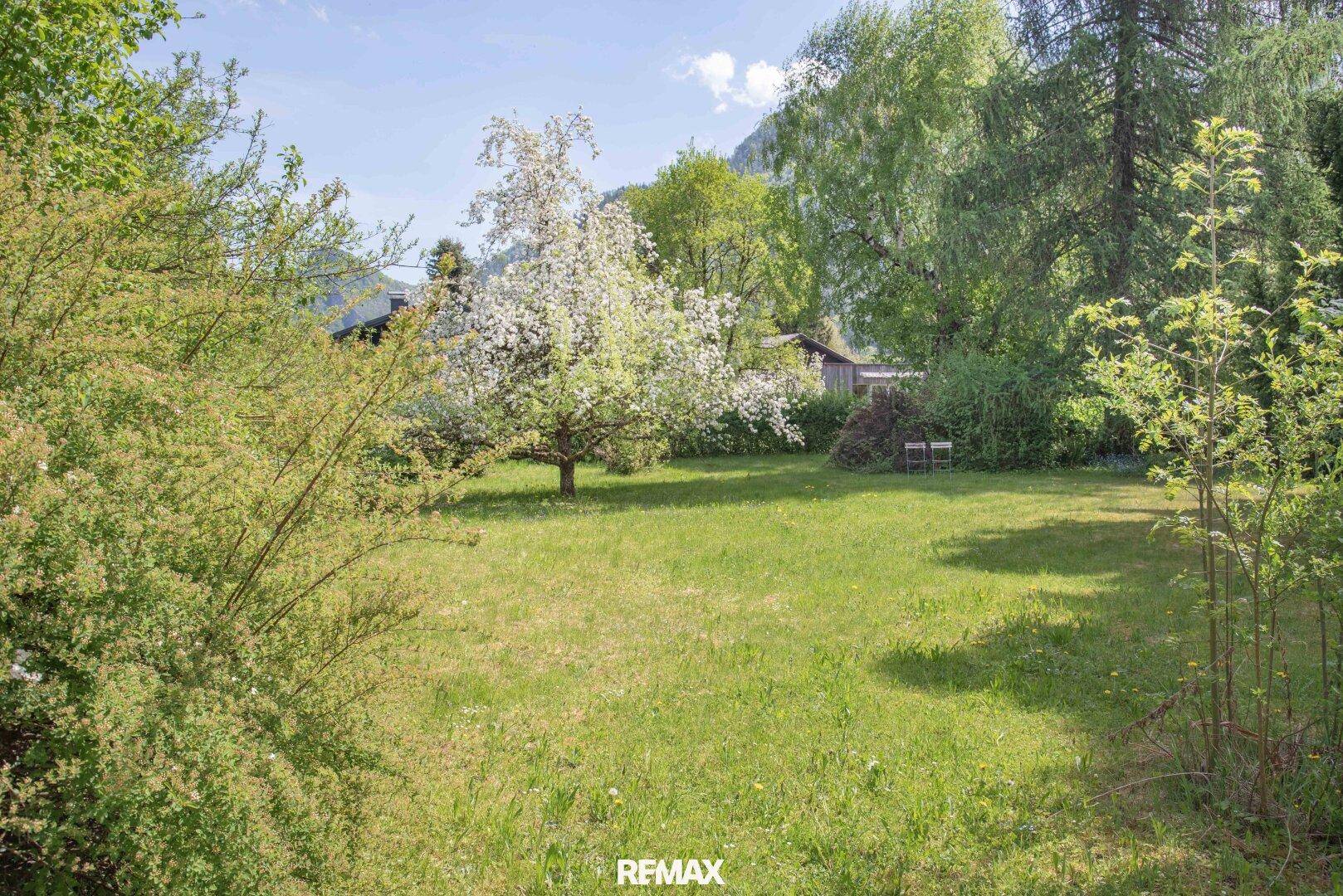 Gepflegter Gartenbereich mit Rasenfläche, blühenden Bäumen und Sträuchern unter blauem Himmel.