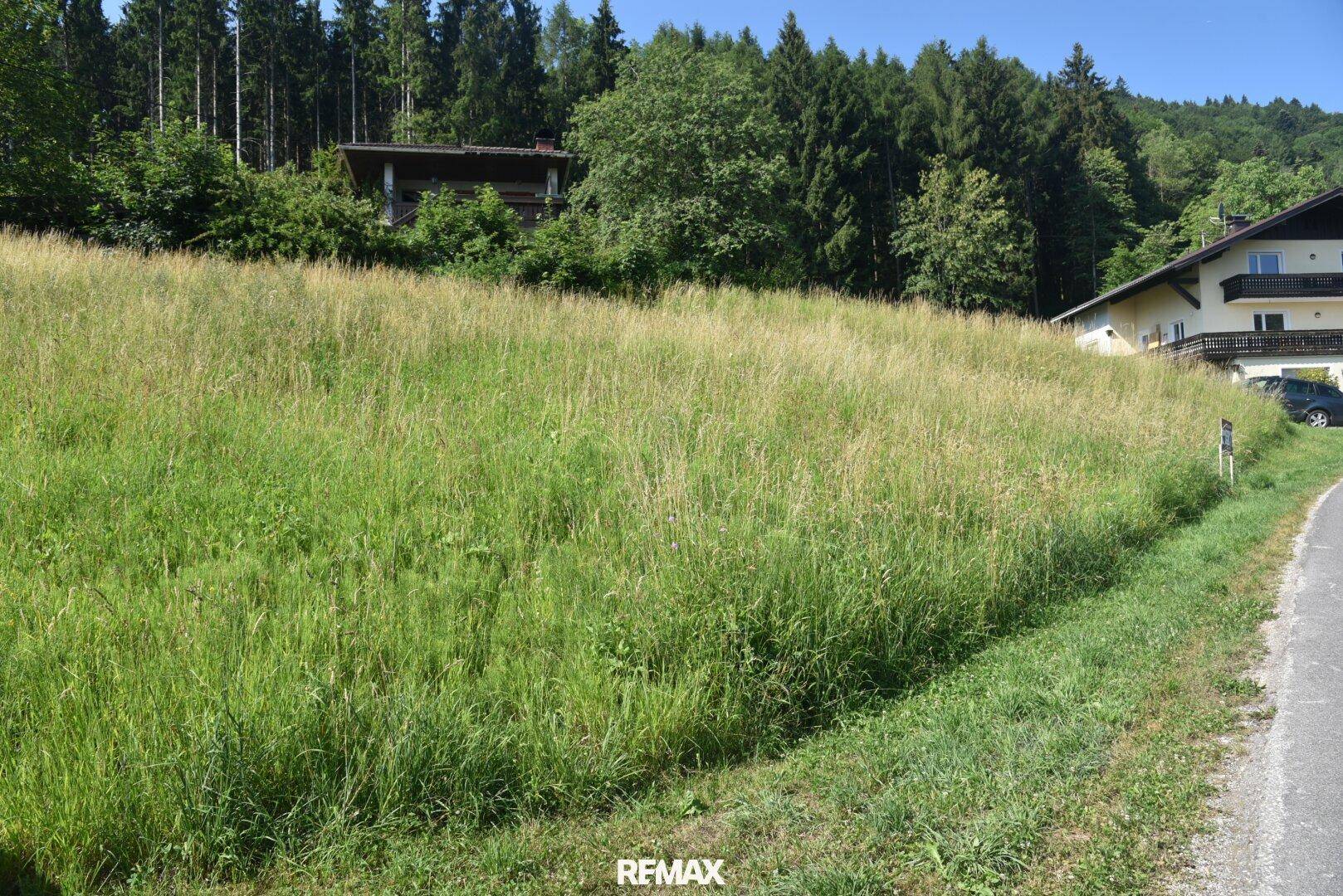 Natur pur am Vöcklaberg: Preiswertes Hanggrundstück in absoluter Ruhelage - Ansicht 2