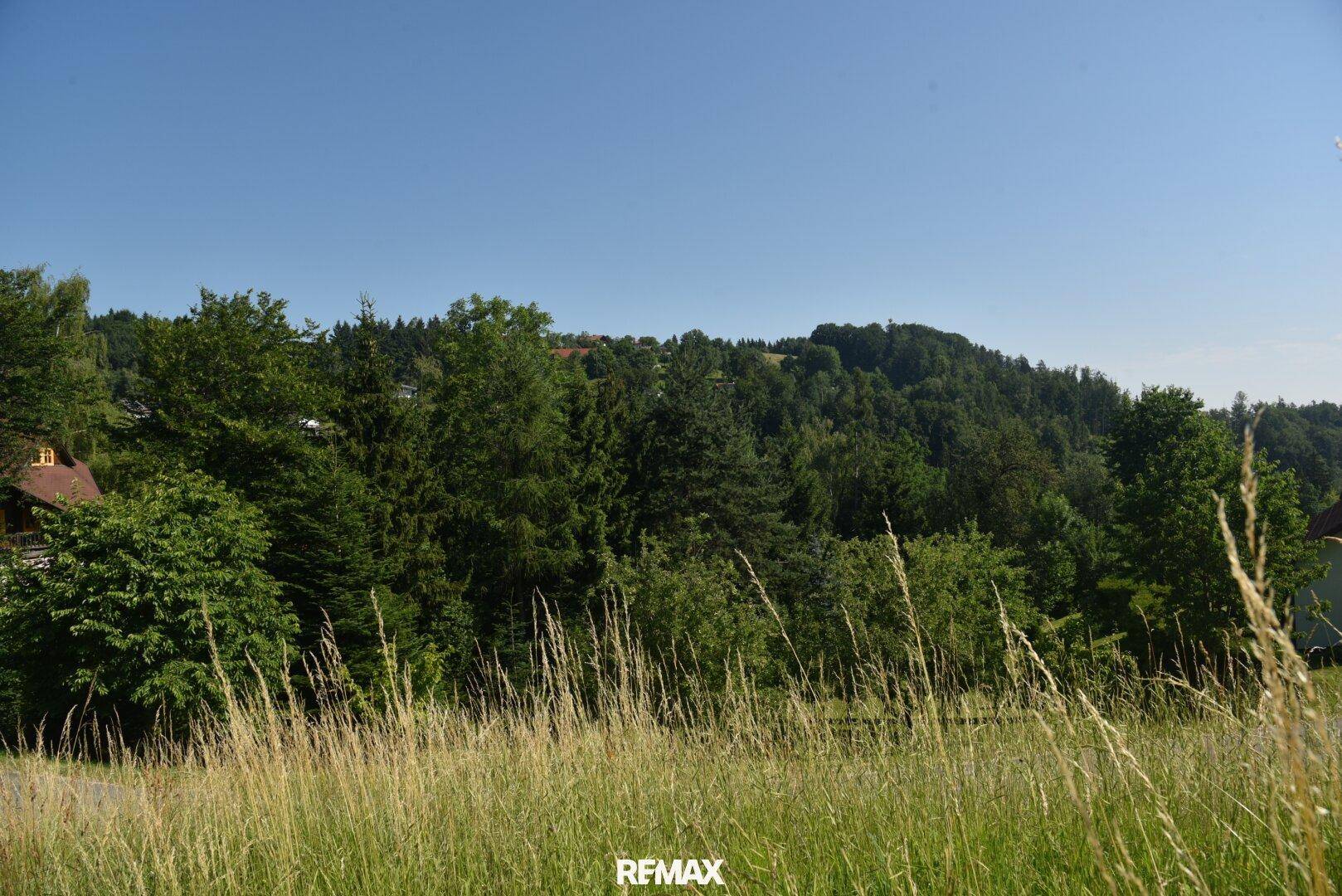 Natur pur am Vöcklaberg: Preiswertes Hanggrundstück in absoluter Ruhelage - Ansicht 3
