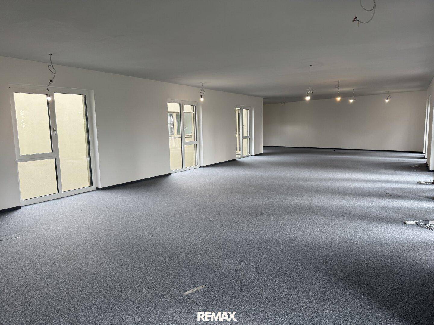 Heller Büroraum mit großen Fenstern und grauem Teppichboden, bietet viel Tageslicht.