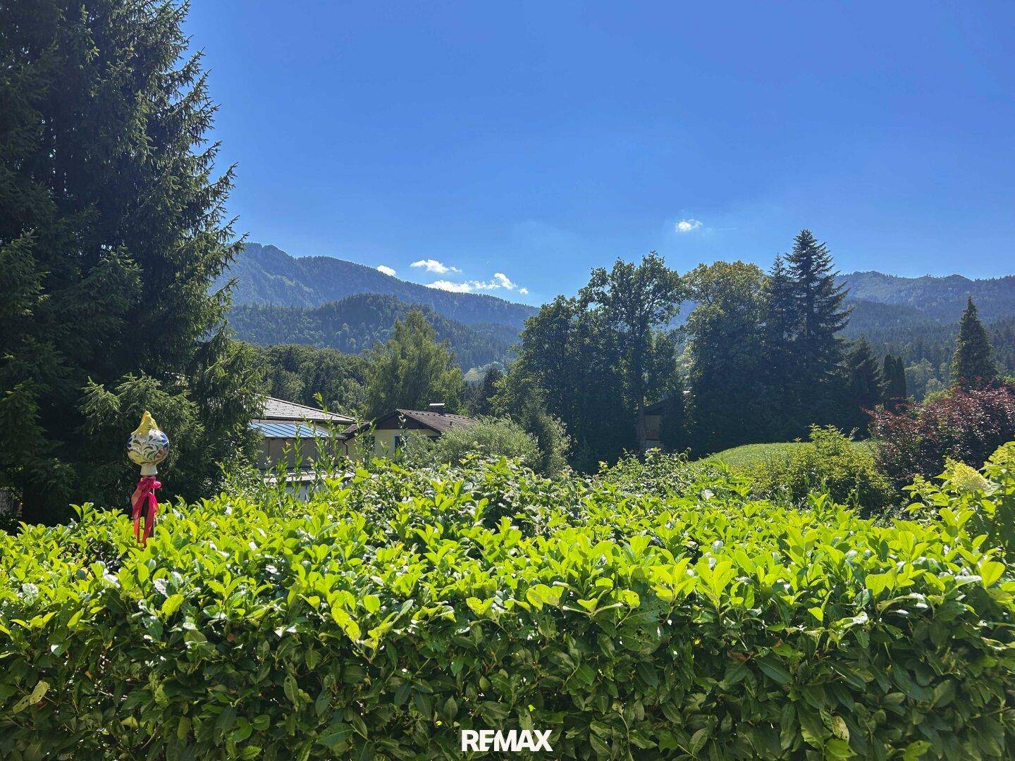 Malerischer Bergblick über eine grüne Hecke unter strahlend blauem Himmel.