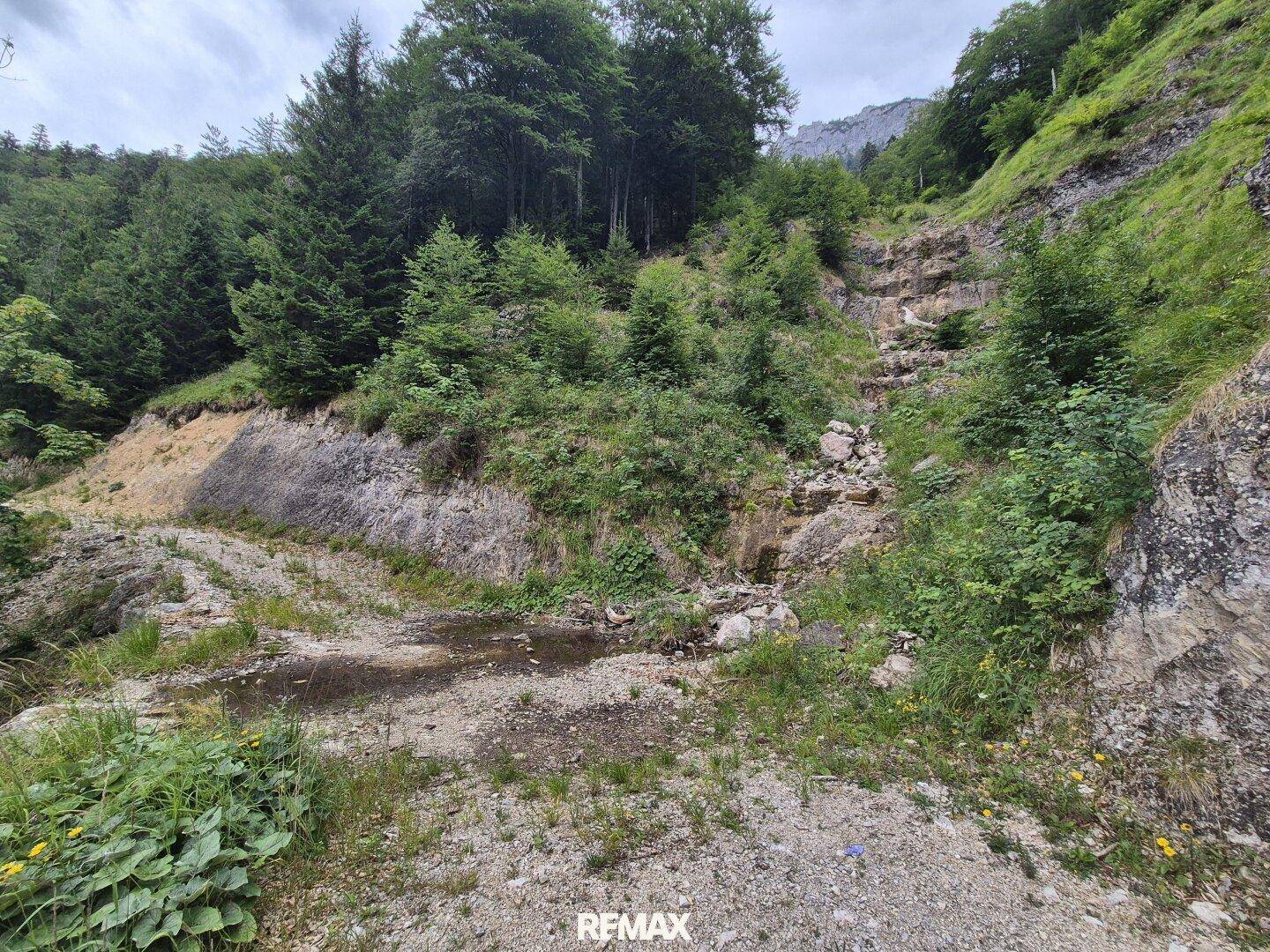 Ein felsiger Hang mit spärlicher Vegetation und einem kleinen Wasserlauf in einer bergigen Umgebung.