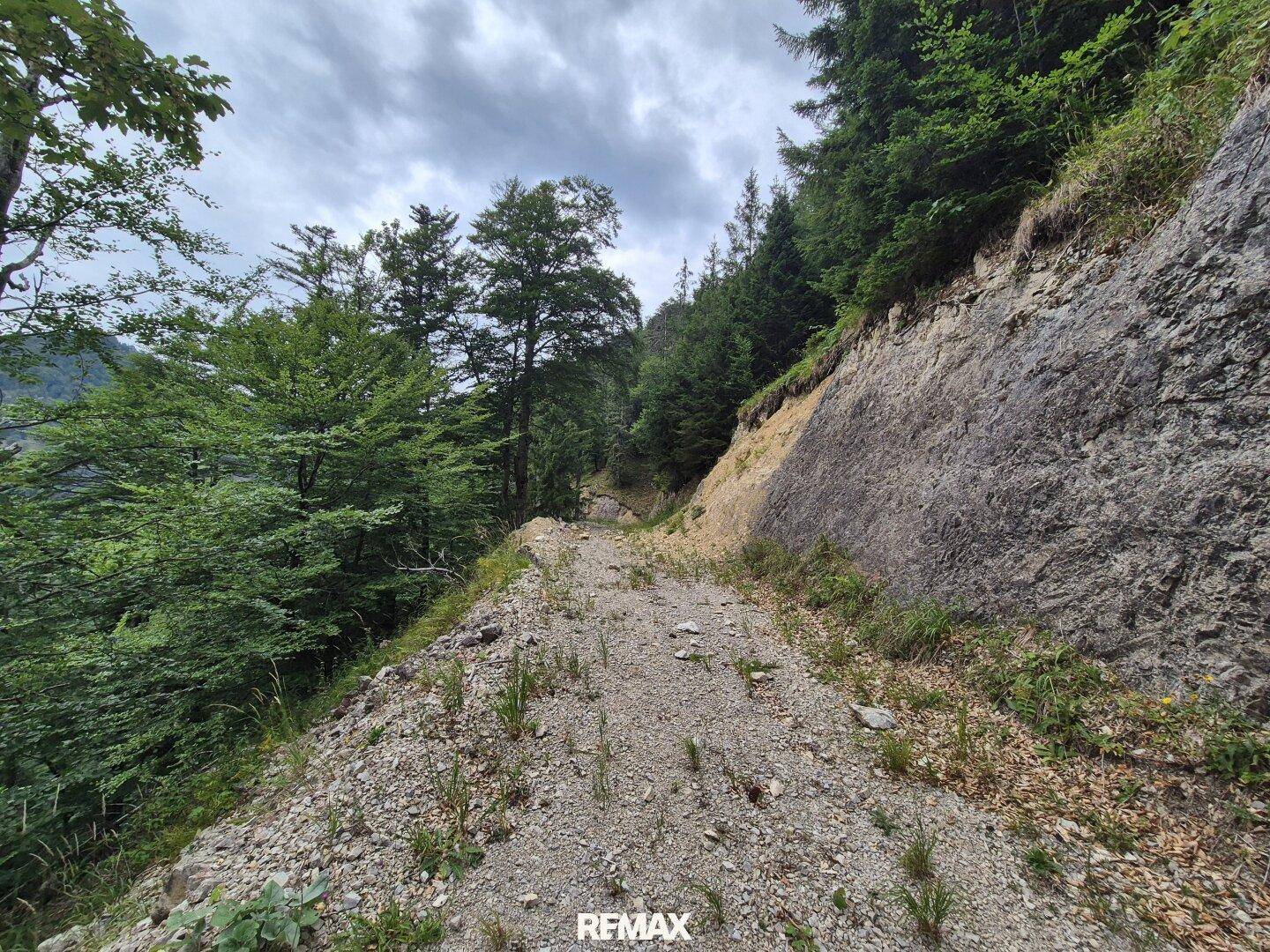 Ein schmaler Schotterweg führt entlang eines steilen, bewaldeten Berghangs.