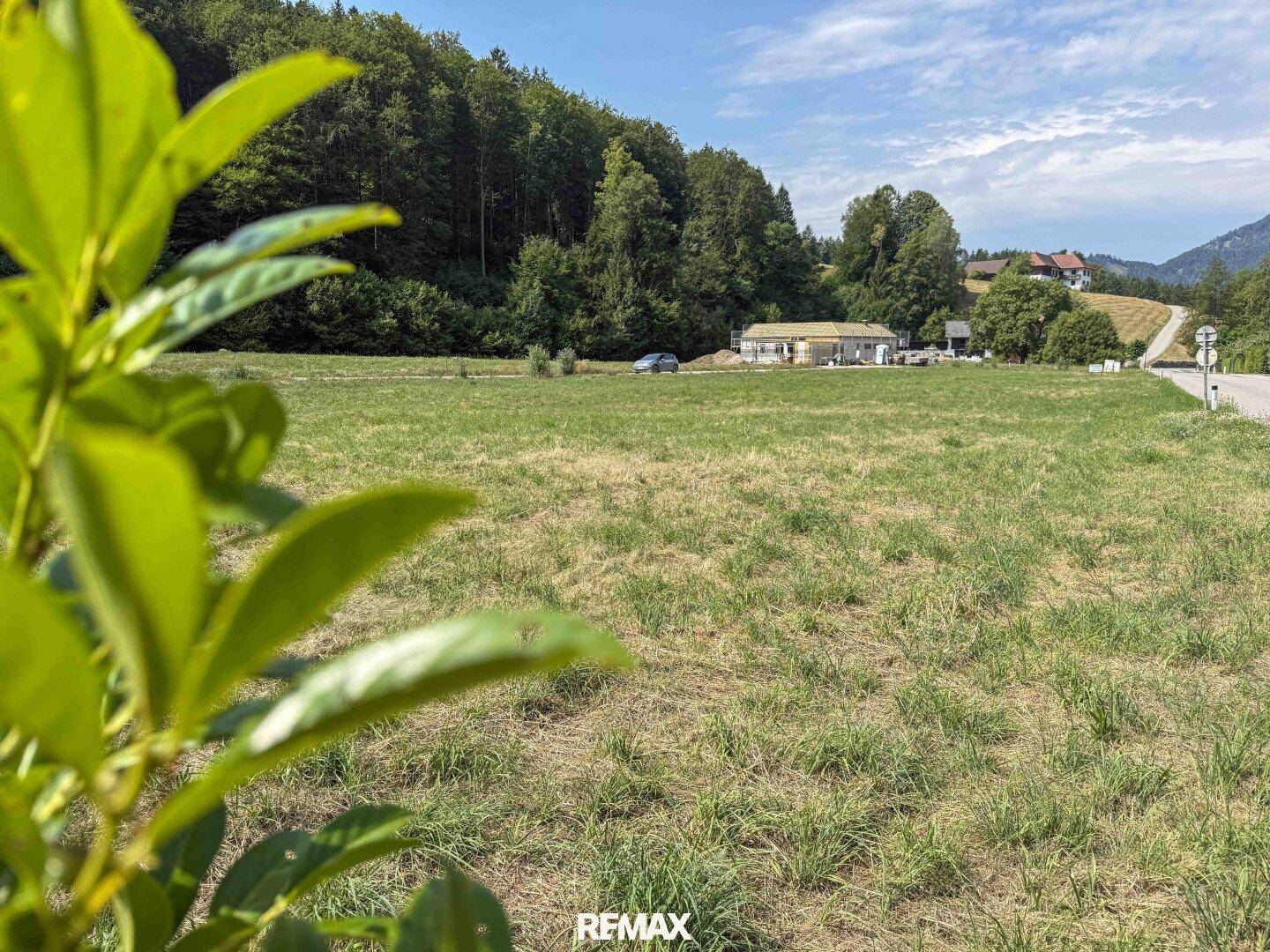 Großes Wiesengrundstück mit angrenzender Straße und Waldrand, im Hintergrund ist ein Neubau zu erkennen.