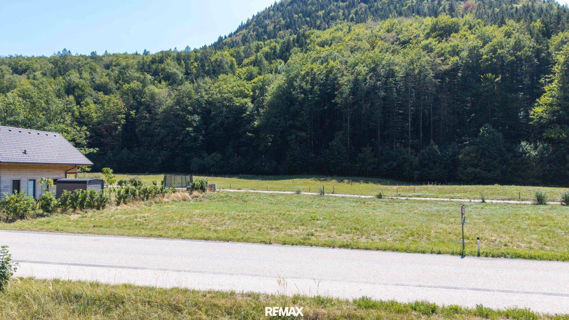 Grünes Grundstück mit angrenzender Straße und Blick auf den dichten Wald und die Berge.
