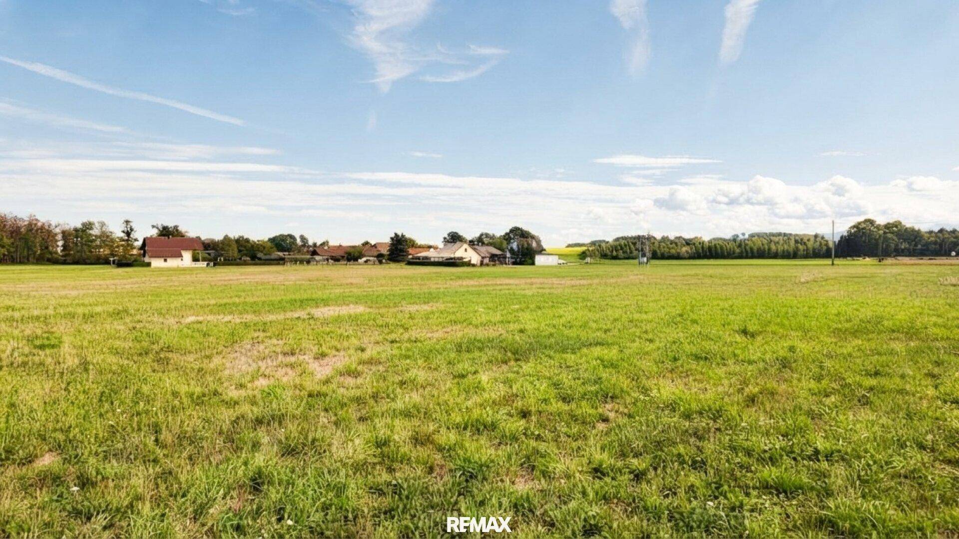 Offenes, sonniges Feld mit Grasfläche und Blick auf die umliegende ländliche Bebauung und Bäume.