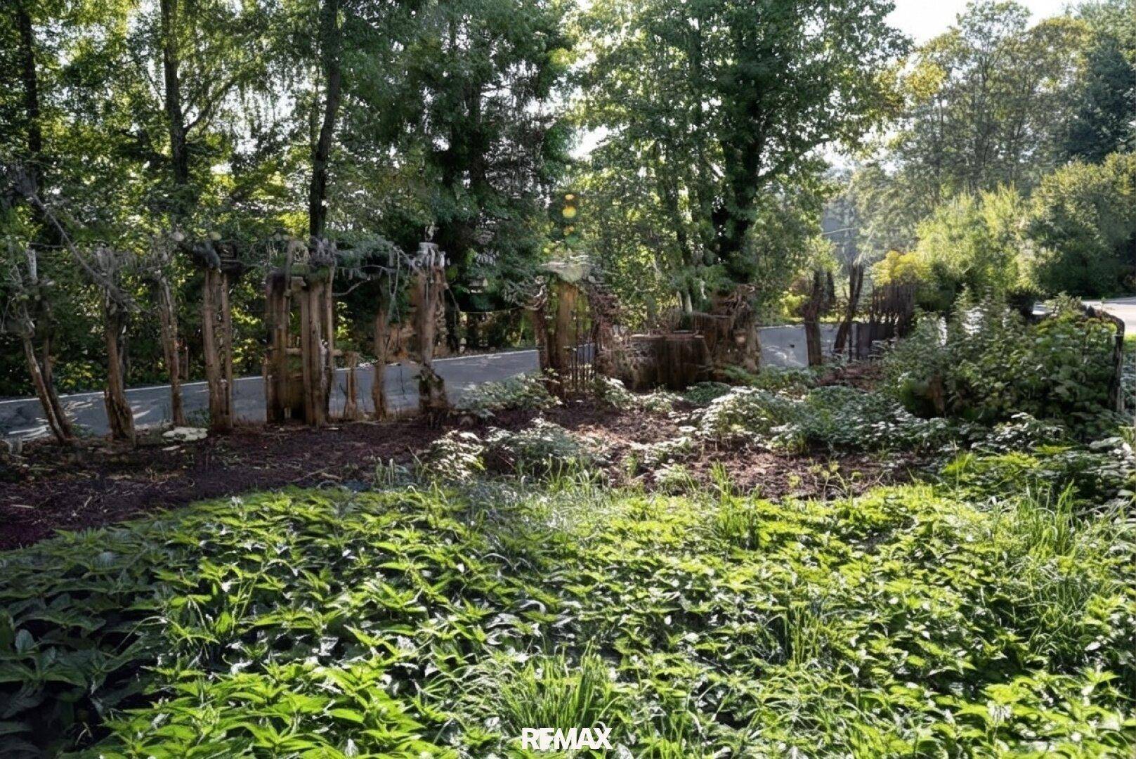 Üppiger Gartenbereich mit verschiedenen Pflanzen und Bäumen, umgeben von Natur.