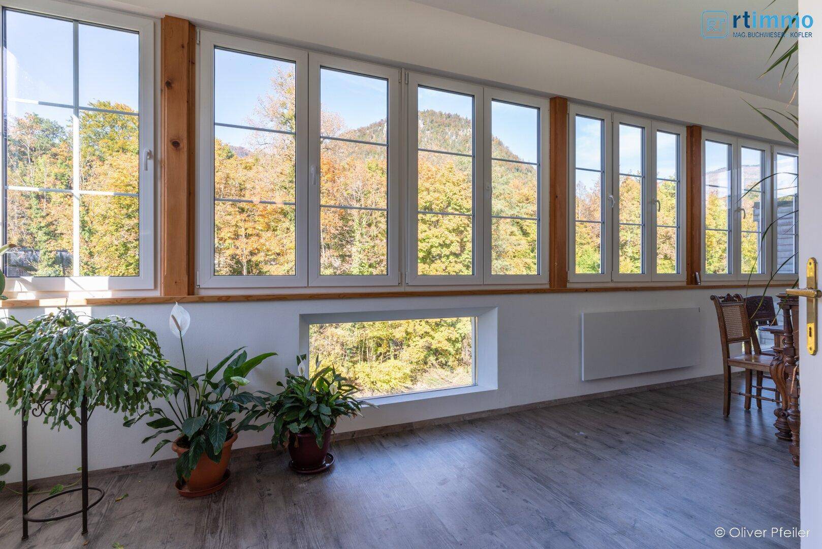 Heller Raum mit vielen Fenstern, die einen weiten Blick auf die herbstliche Natur bieten.