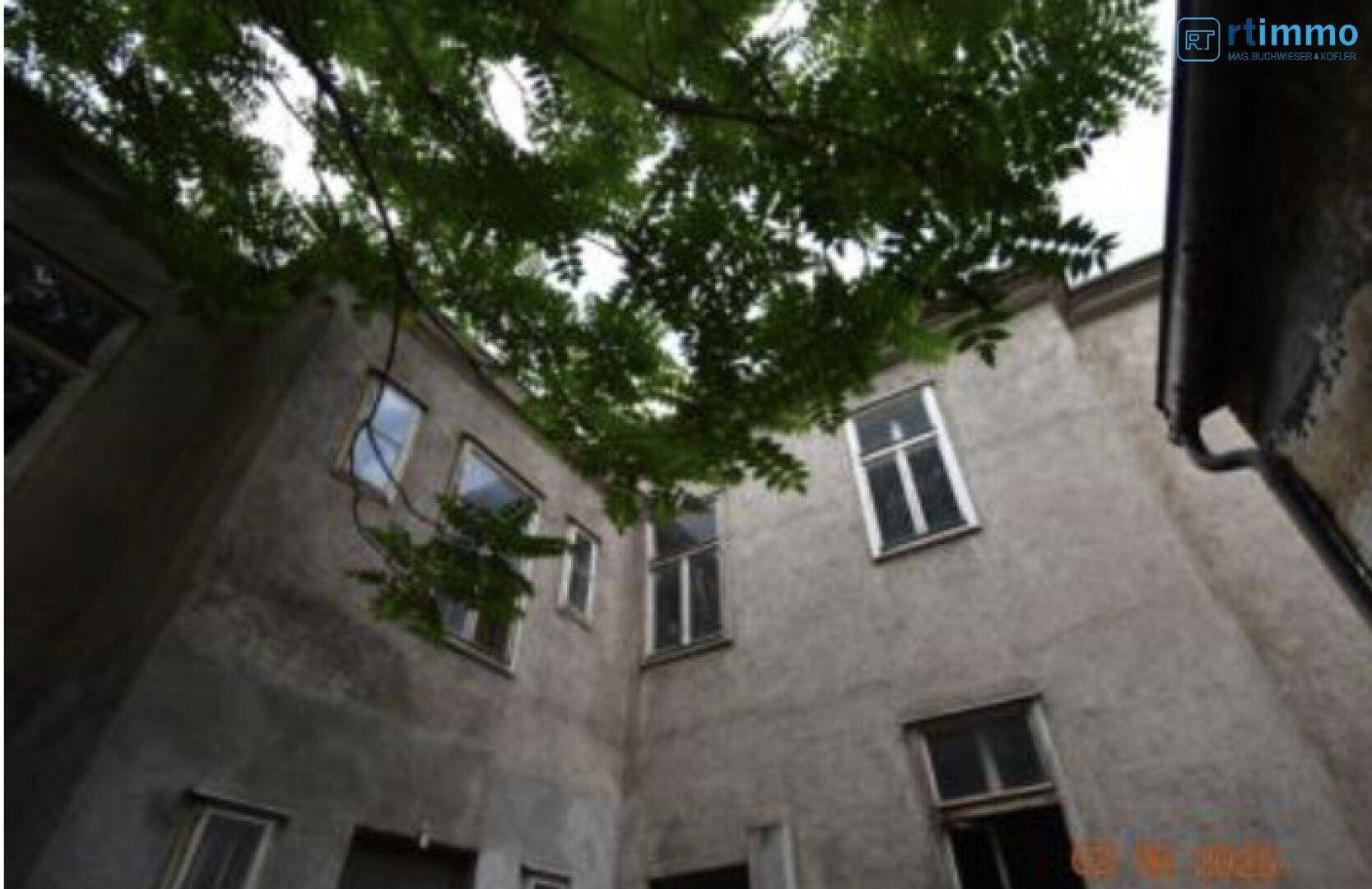 Fassade eines alten Gebäudes im Innenhof mit vielen Fenstern und überhängenden Baumzweigen.