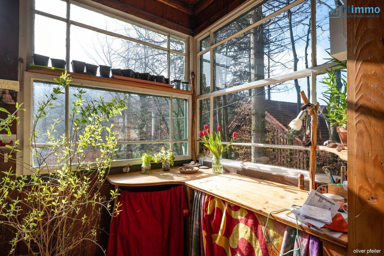 CHARMANTES WALDGRUNDSTÜCK IN EICHGRABEN MIT SOMMERHAUS &amp; ENTWICKLUNGSPOTENZIAL - Ansicht 3