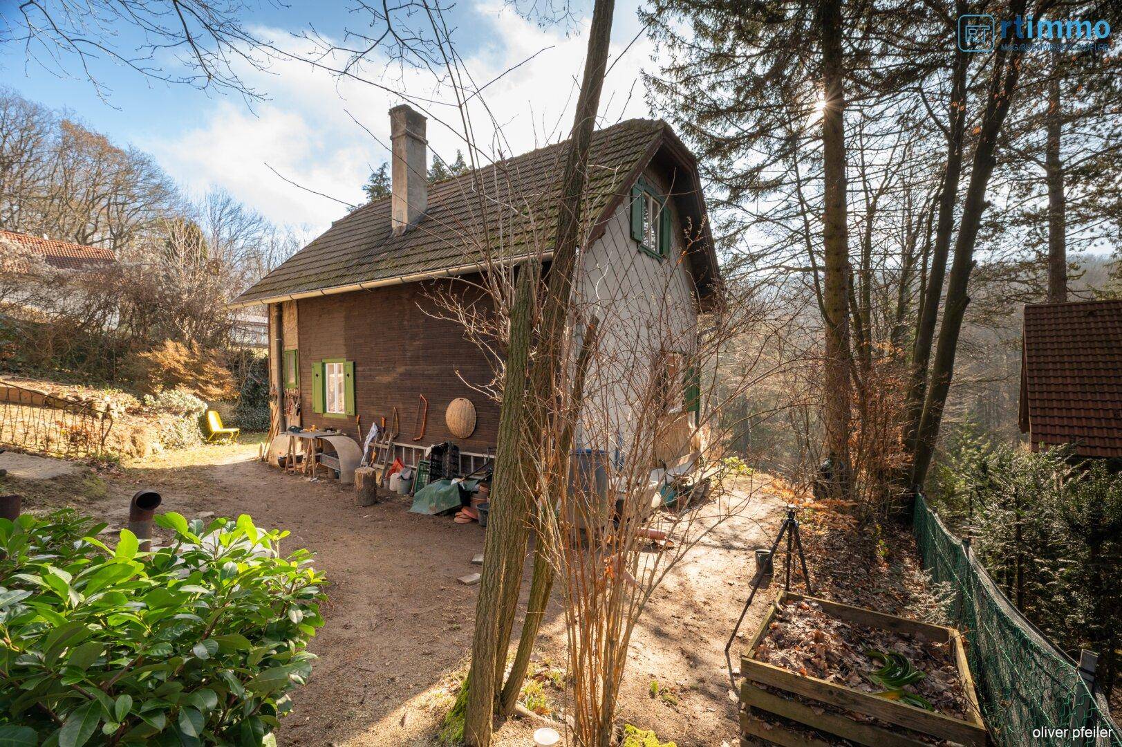Rückansicht des Holzhauses mit Schuppen und Kompostbereich, umgeben von Bäumen.