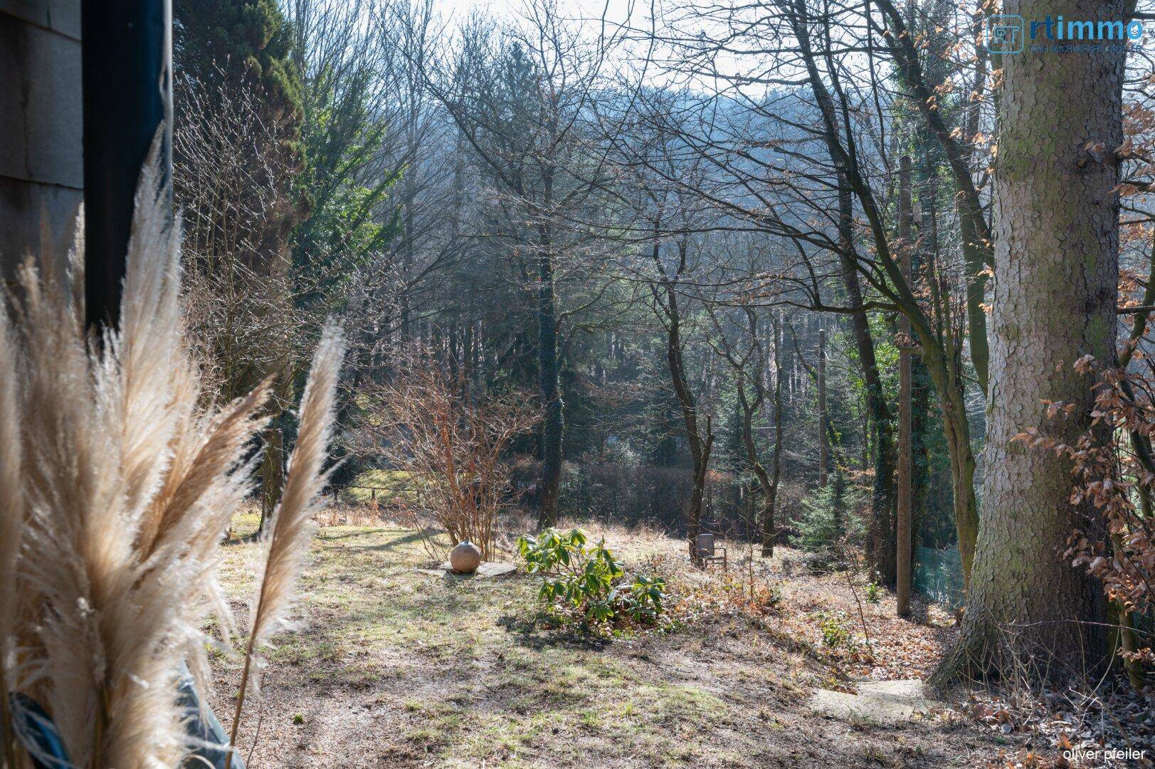 Idyllischer Blick vom Garten in den angrenzenden Wald, der Ruhe und Naturverbundenheit bietet.