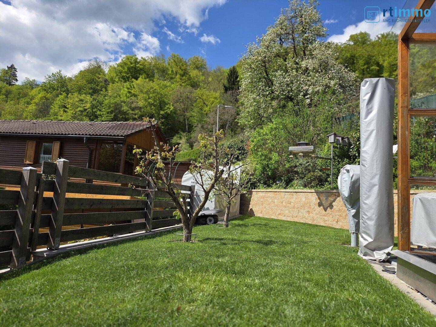 Gepflegte Rasenfläche im Garten mit jungen Bäumen und einer Steinmauer im Hintergrund.
